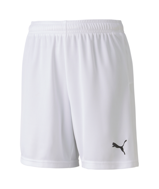 Puma Teamgoal 23 Knit Shorts Youth