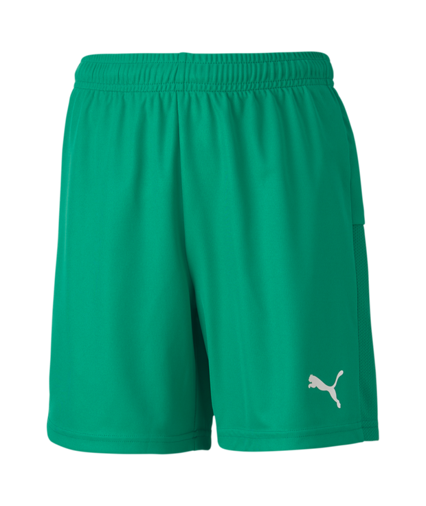 Puma Teamgoal 23 Knit Shorts Youth