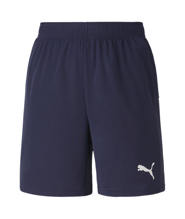 Puma Teamgoal 23 Knit Shorts Youth