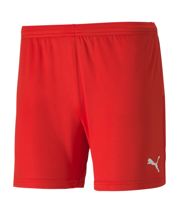 Puma Teamgoal 23 Knit Shorts Women