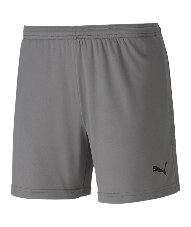 Puma Teamgoal 23 Knit Shorts Women