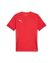 Puma Teamgoal Matchday Jersey Men