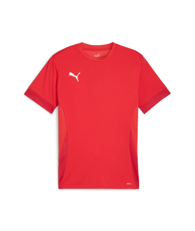 Puma Teamgoal Matchday Jersey Men