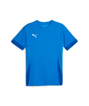 Puma Teamgoal Matchday Jersey Men