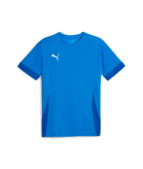 Puma Teamgoal Matchday Jersey Men