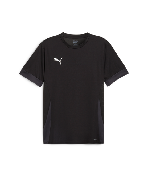 Puma Teamgoal Matchday Jersey Men