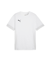 Puma Teamgoal Matchday Jersey Men