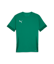 Puma Teamgoal Matchday Jersey Men