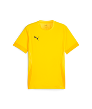 Puma Teamgoal Matchday Jersey Men