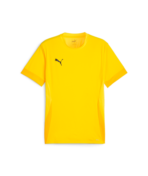 Puma Teamgoal Matchday Jersey Men