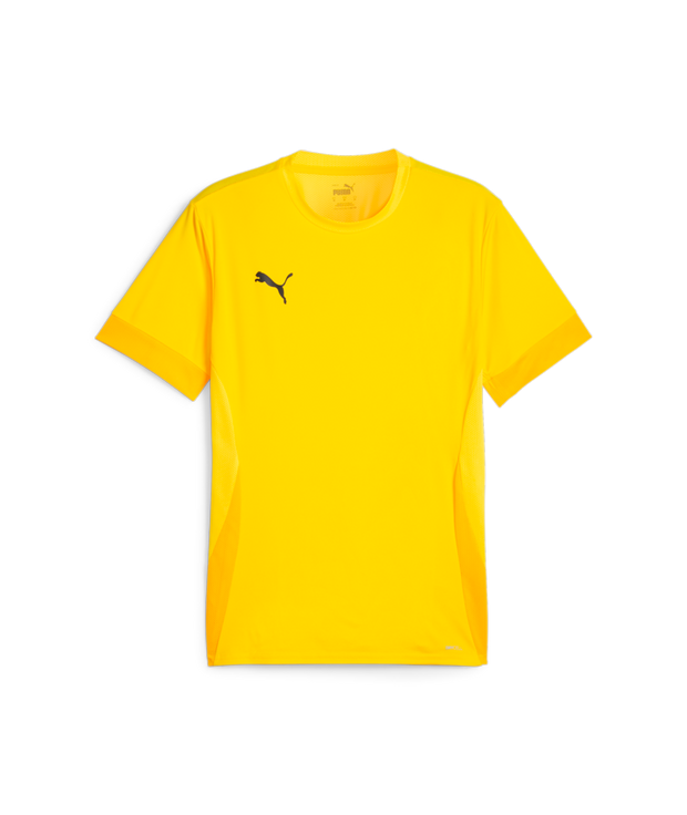 Puma Teamgoal Matchday Jersey Men