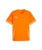 Puma Teamgoal Matchday Jersey Men