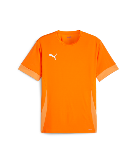 Puma Teamgoal Matchday Jersey Men