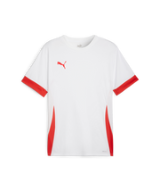 Puma Teamgoal Matchday Jersey Men