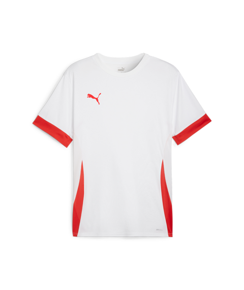 Puma Teamgoal Matchday Jersey Men