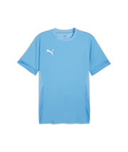 Puma Teamgoal Matchday Jersey Men