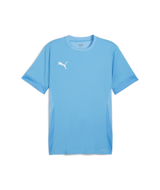 Puma Teamgoal Matchday Jersey Men