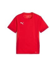 Puma Teamgoal Matchday Jersey Youth