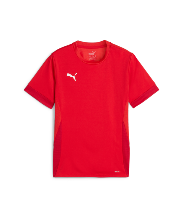 Puma Teamgoal Matchday Jersey Youth