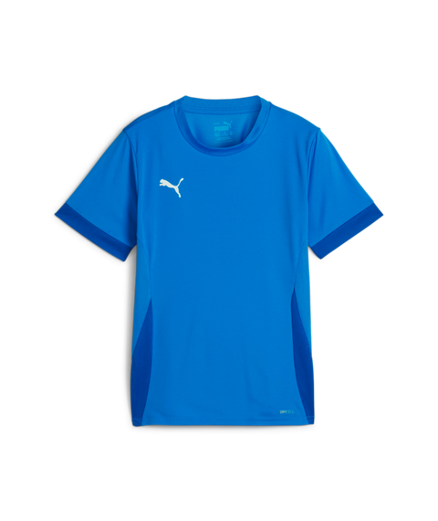 Puma Teamgoal Matchday Jersey Youth