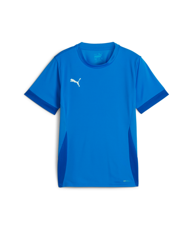 Puma Teamgoal Matchday Jersey Youth