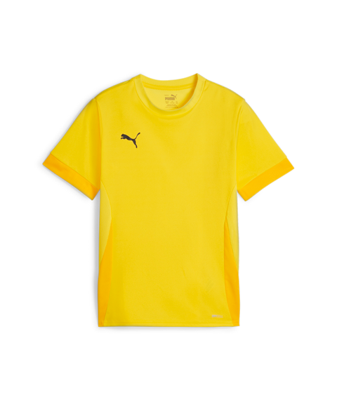 Puma Teamgoal Matchday Jersey Youth