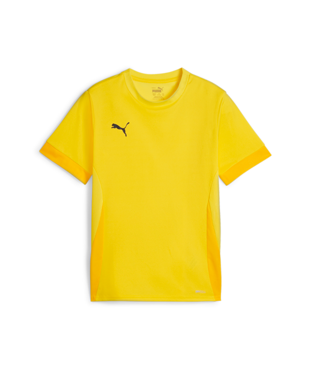 Puma Teamgoal Matchday Jersey Youth