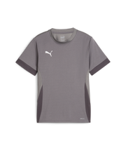 Puma Teamgoal Matchday Jersey Youth