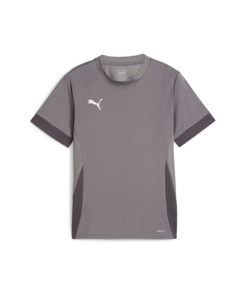 Puma Teamgoal Matchday Jersey Youth