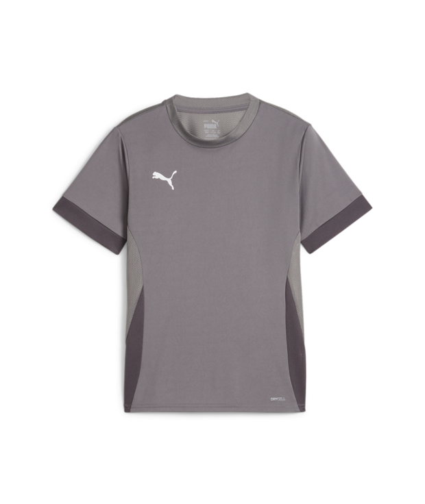 Puma Teamgoal Matchday Jersey Youth