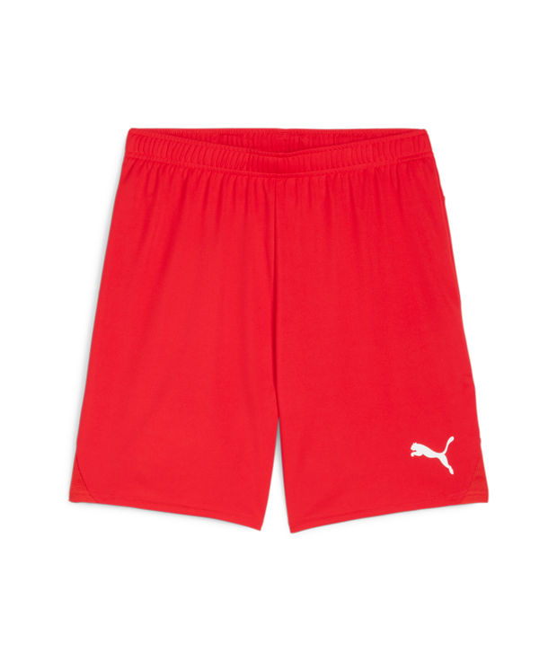 Puma Teamgoal Short Adult