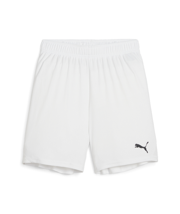 Puma Teamgoal Short Youth