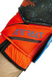 Reusch Attrakt Fusion Guardian FS