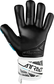 Reusch Attrakt Infinity NC FS GK Glove Adult