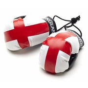 Team Boxing Gloves