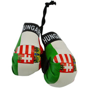 Team Boxing Gloves